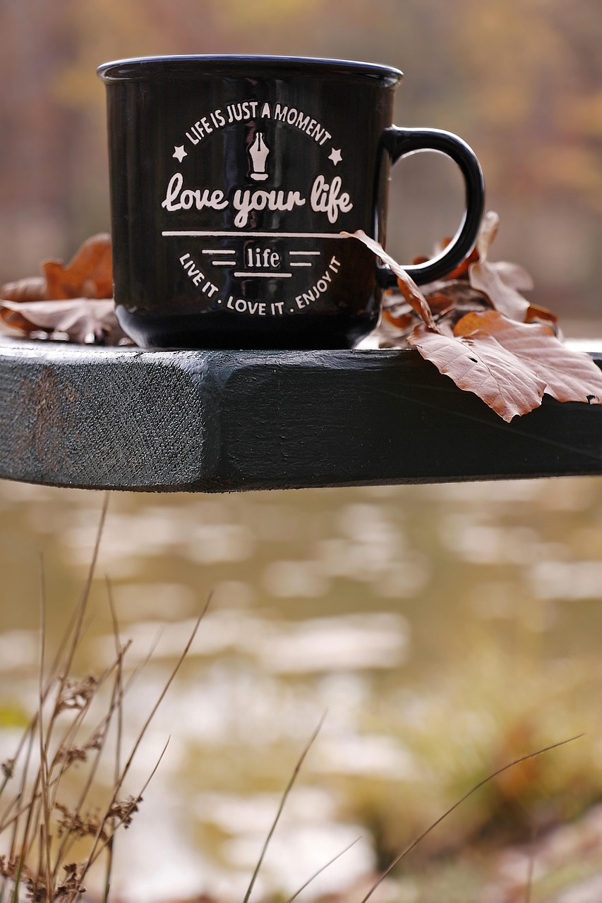 fall, forest, cup, waldsee, bench, love your life, motto, leaves, autumn leaves, quiet, break, races, nature, mood, autumn colors, life is just a moment, saying, spell cup, autumn mood, relax, the atmosphere, scenic, autumnal